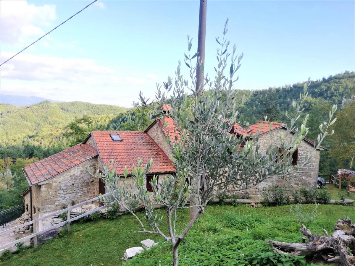 Casa Martino Villa (Arezzo) Exterior foto